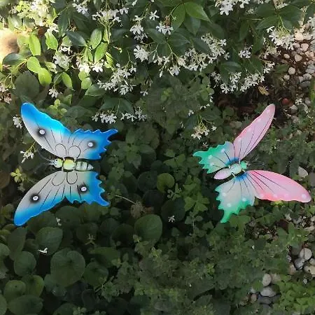 Casa Romantica 4* Vilanija