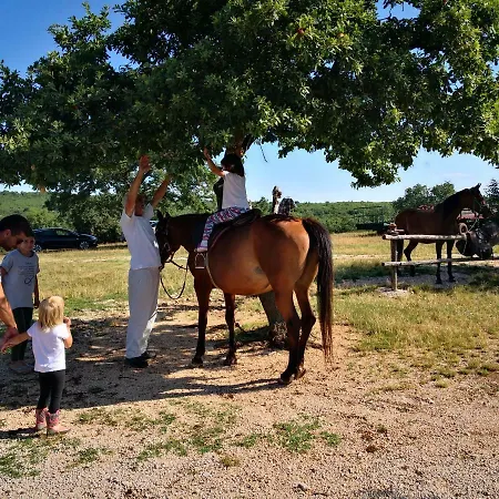 Gæstehus Casa Romantica
