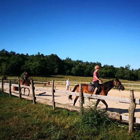 Casa Romantica Gæstehus Vilanija