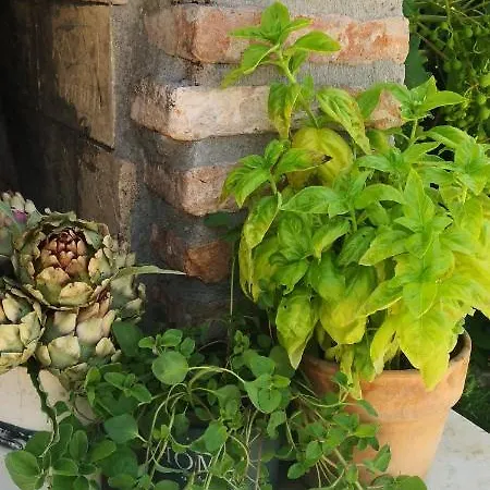 Casa Romantica Vilanija