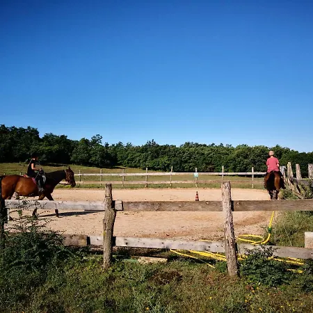 Vendégház Casa Romantica 4*