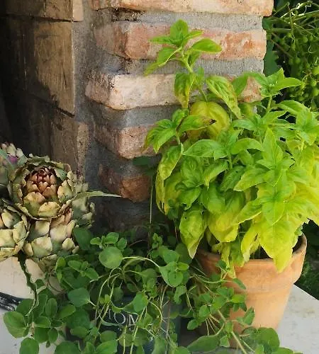 Casa Romantica Vilanija