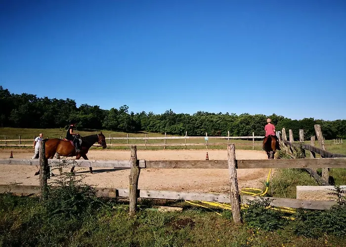 Gasthof Casa Romantica 4*