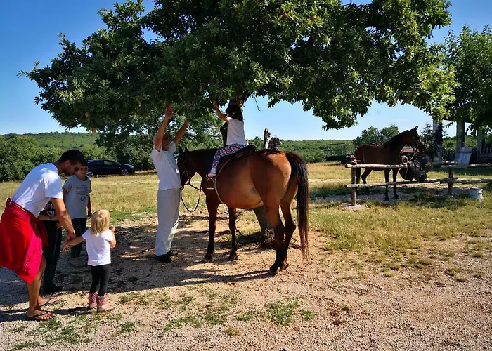 Pensión Casa Romantica