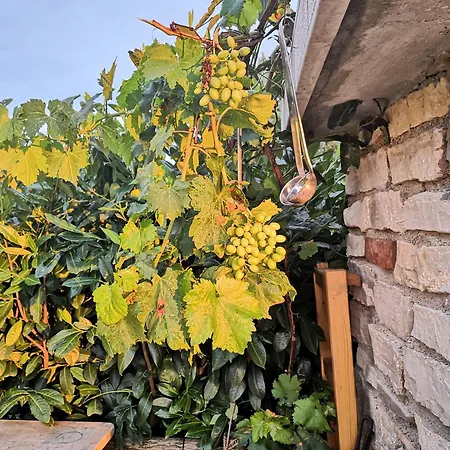 Casa Romantica Gostinjska kuća Vilanija