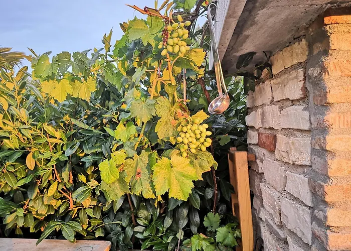 Casa Romantica Gostinjska kuća Vilanija